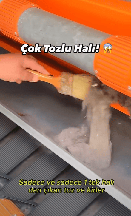 bir tek halıdan çıkan toz